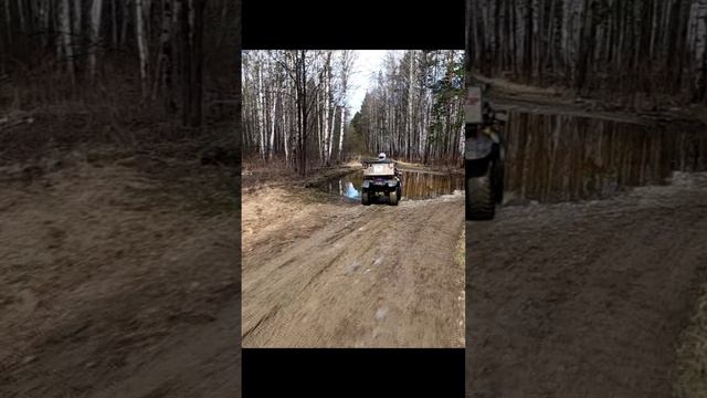 Квадроцикл Буль - Буль.