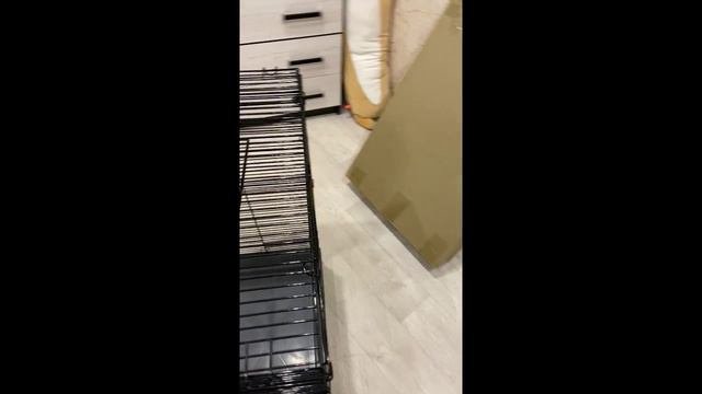 Клетка