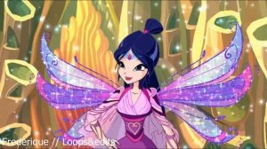 We Are Symphony - Winx Musa - 6 min vocal loop