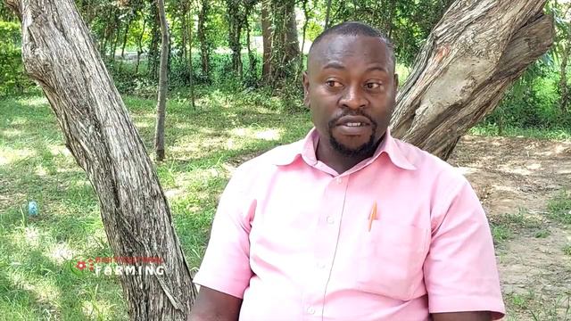 How much you need to start Tomato farming business - Horticulture