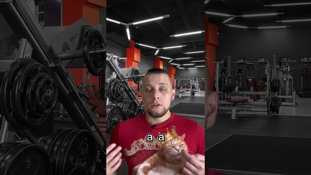 Почему дисциплина намного лучше, чем мотивация?