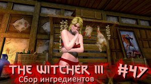 Сбор ингредиентов | The Witcher 3 / Ведьмак 3 #047 [Прохождение] | Play GH