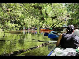 Сплав на байдарках по верховьям р. Сок