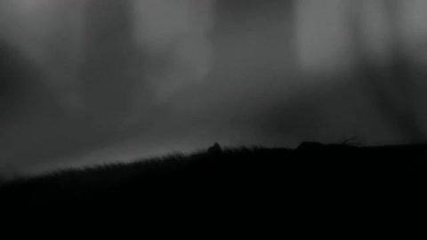 Концовка Limbo