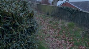 "MOMO Returns" Short Horror Film  #shortfilm #horrorstories
