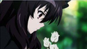 This is the last time - Nightcore