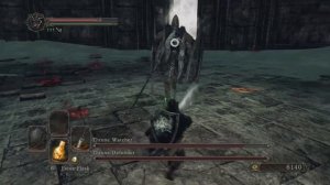 Dark Souls 2 - All Boss Fights & All Endings (No Damage)