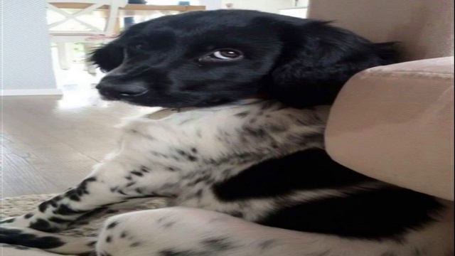 EXCEPTION Knowledge OCCUPATION ELIMINATE FLAVOR RETAIN FINANCE смотреть онлайн