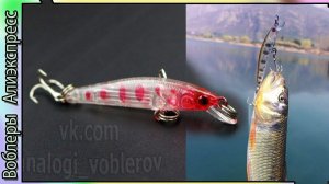 Копия - Smith Troutin Wavy 50S - медленно тонущий ультралйтовый миноу с Алиэкспресс #lure