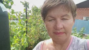 Вроде всё так хорошо начиналось, но опять облом...Зато опыт и наблюдение!