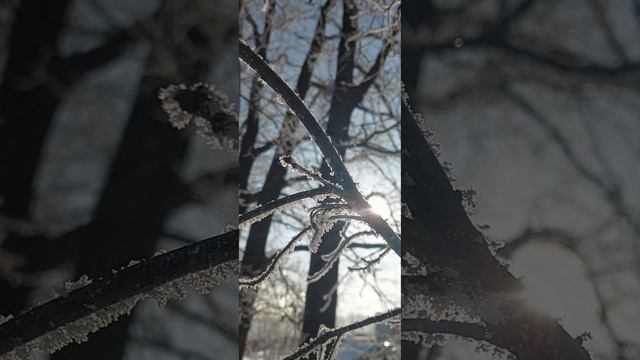 Дайте человеку всё, чего он желает, и в ту же минуту он почувствует, что это всё не есть всё.