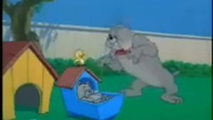 tomi & jeri qartuli versia gineba