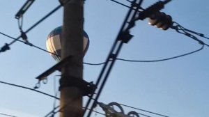 Летящие воздушные шары из окна электрички