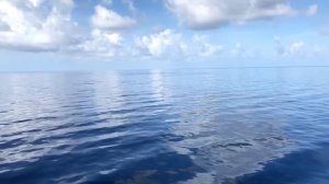 "Watermark" - Sleeping At Last (Micro Music Video)