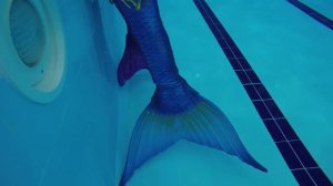 MerfolkUK Mermaid Convention 2018