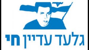 יוסי פלג - גלעד שליט