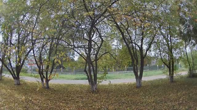 Осень в Култаево.