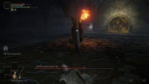 Elden Ring Цербер кладбища Древа Эрд (Замогилье) (6)