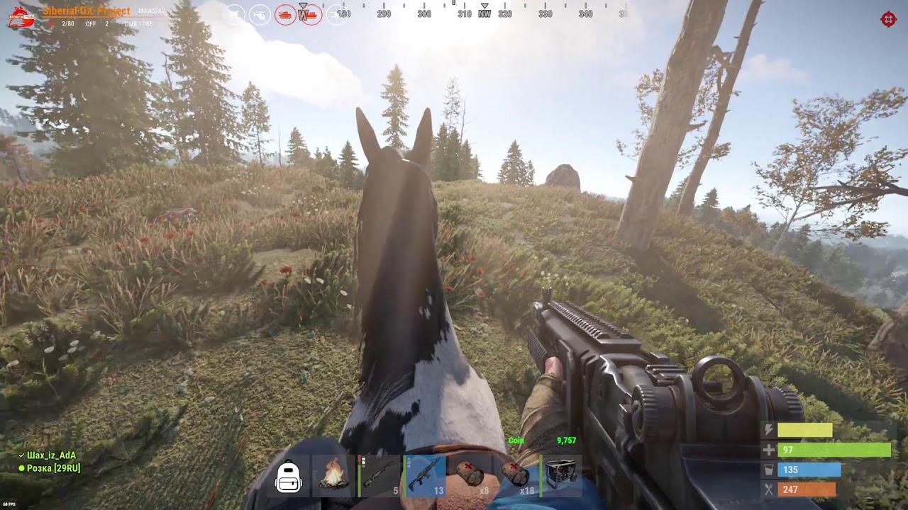 Ни дождика, ни снега, ни людей, ни зомбарей!