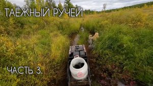 ТАЁЖНЫЙ РУЧЕЙ за ЧЕБАКОМ (МОХТИКОМ) часть 3. #чебак #мохтик #ручей #рыбалка #сибирь #мотобуксировщик
