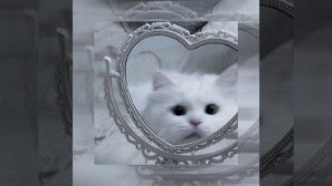 король и шут-ведьма и осел speed up