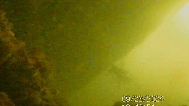 1000029831.mp4Волга.28.09.2024г.