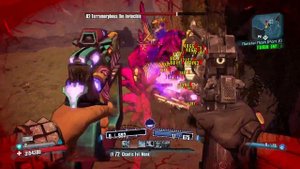 Borderlands 2 hide of Terramorphous