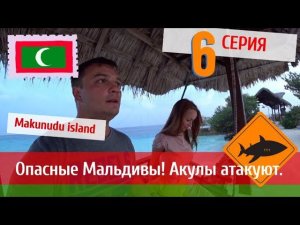 Опасные Мальдивы. На Катю напала акула. Отель Makunudu Island.