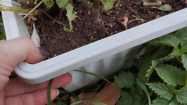 МОЙ ВЫХОДНОЙ/ ЗАНИМАЕМСЯ СТРОЙКОЙ/ ПРОДАЮ СВОИ КАШПО/ ЖИЗНЬ В ДЕРЕВНЕ/ ЖИЗНЬ ХОРОША 28.09.24г.