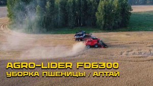 Тест-драйв комбайна AGRO-LIDER FD6300 / Уборка пшеницы / Алтайский край