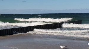 🌊⛱️Балтику штормит🔥😲 Невероятные цвета, виды великолепные! 🤩 Зеленоградск, погода, сегодня 🔆