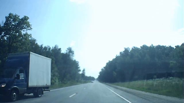 Лосёнок выбежал на дорогу. Лось выбежал на дорогу