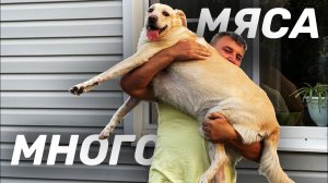 ШАШЛЫК ИЗ СВИНЫХ РЕБЕР НА МАНГАЛЕ