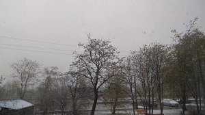 Снег с дождём // 20 мая 2020