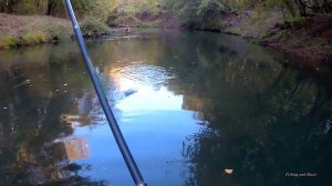 Осенний Сплав по реке Бузулук со спиннингом. Щука на воблеры