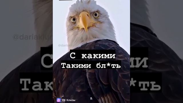 Муж: Я люблю тебя со всеми твоими недостатками ❤