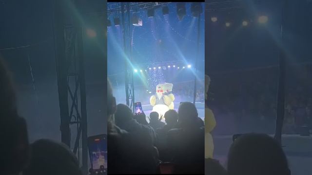Аделюша рассказывает 
как сходила в Цирк🤠😎👍🥰