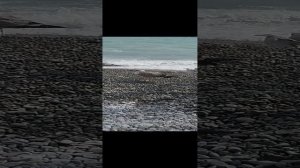 Ялта. пляж Массандра