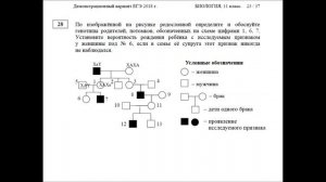 Задания 28 Демовариант 2018 ЕГЭ по биологии