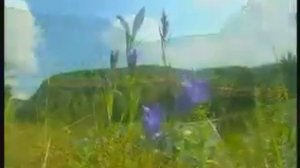Риф Бикбаев - Үтмәй торһон йәшлек йылдарым.