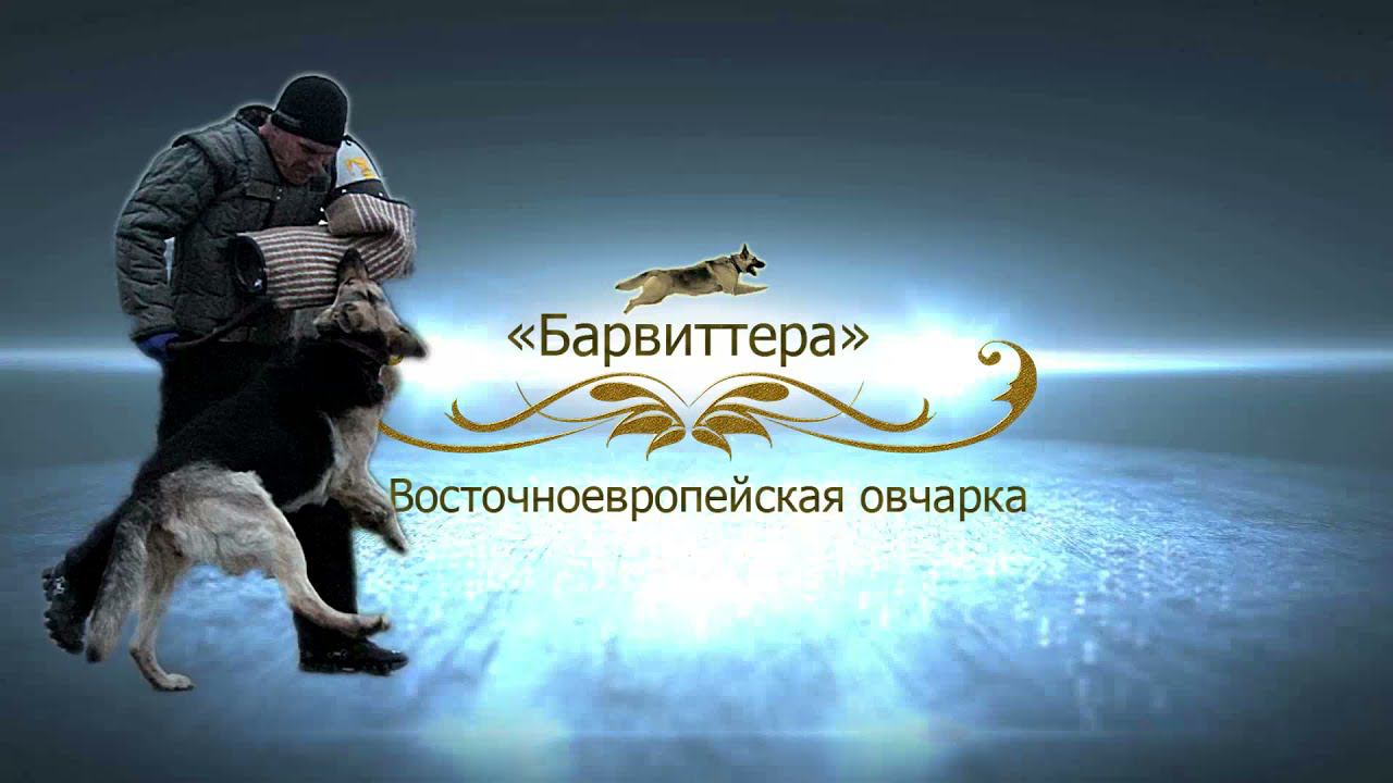 ЩЕНКИ БАРВИТТЕРА помёт