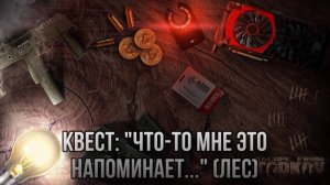 Escape from Tarkov / Тарков # Скупщик КВЕСТ: "Что-то мне это напоминает ... " (Лес)