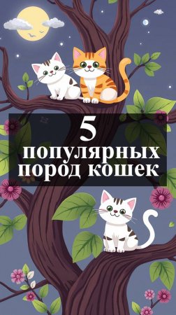 5 популярных пород кошек