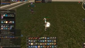Patch of Eva. Shock-world.com. Temple Knight. Lineage 2.