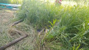 ШКОЛЬНИКИ ПОСТРОИЛИ НАСТОЯЩИЙ ДОМ! часть 2