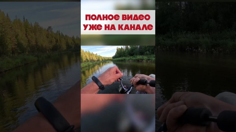 ПРОСТО КАЙФ! Дуплеты хариуса во время сплава  #norstream #fishing #рыбалка #север #рыбалканасевере