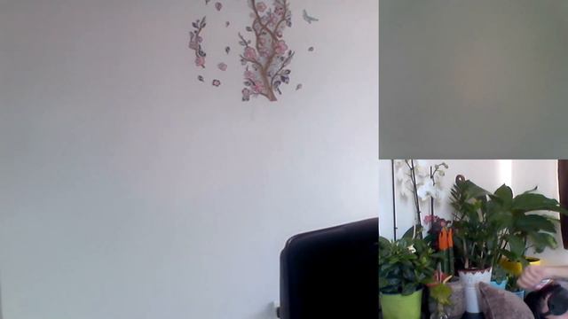 136 Hipn regresiva Ion,reptilienii si clonele Moraru C moraru A смотреть онлайн