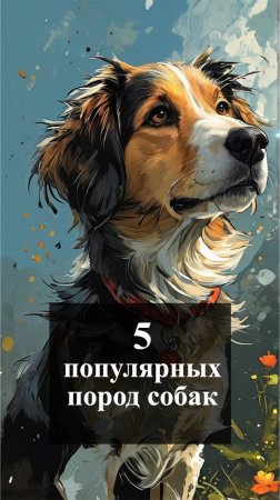 5 популярных пород собак