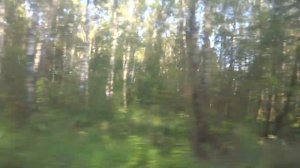 Тула, автобус 36, участок Посёлок Хомяково - Мемориал Защитникам неба Отечества