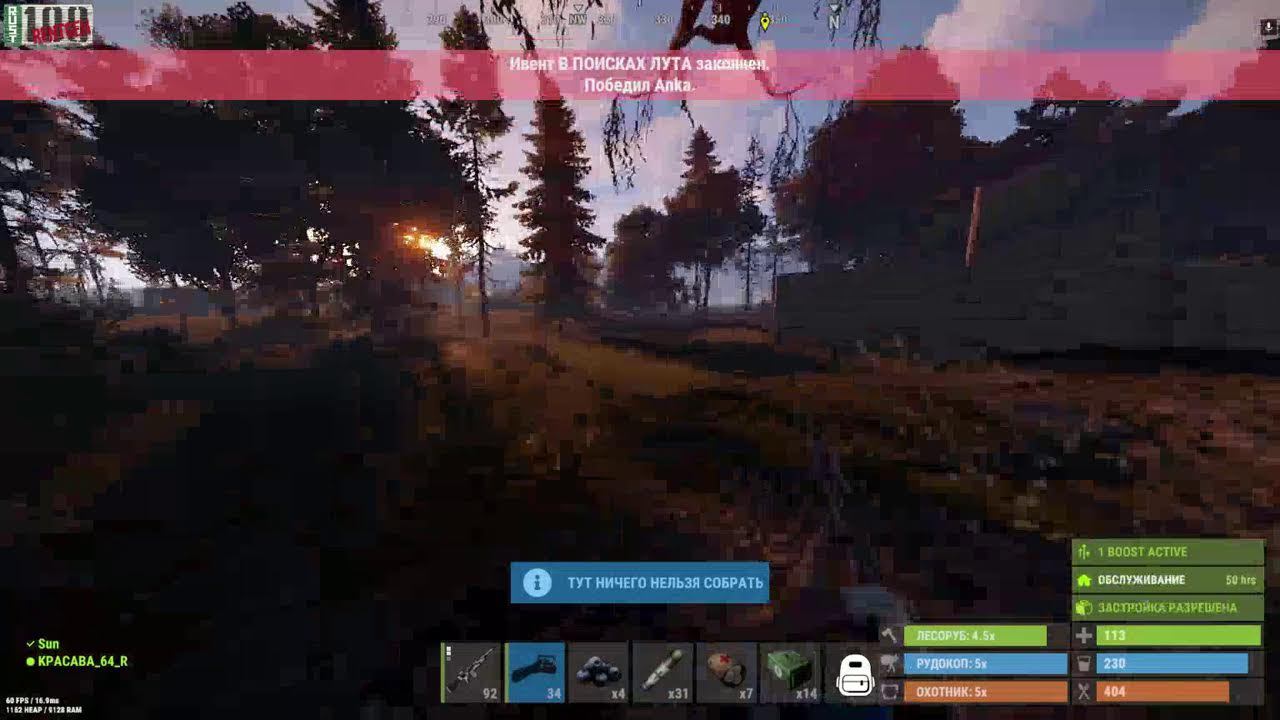 Rust Выживание  На PVE Сервере